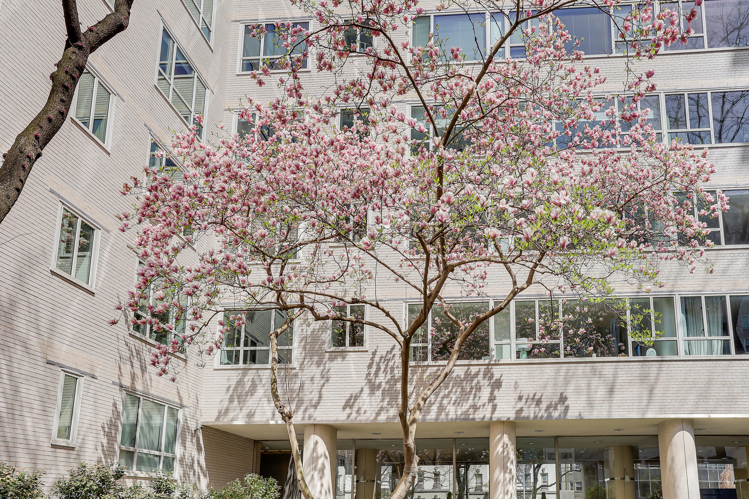 200 East 66th Street, Unit D201 Manhattan, NY 10065 - Photo 24 of 25