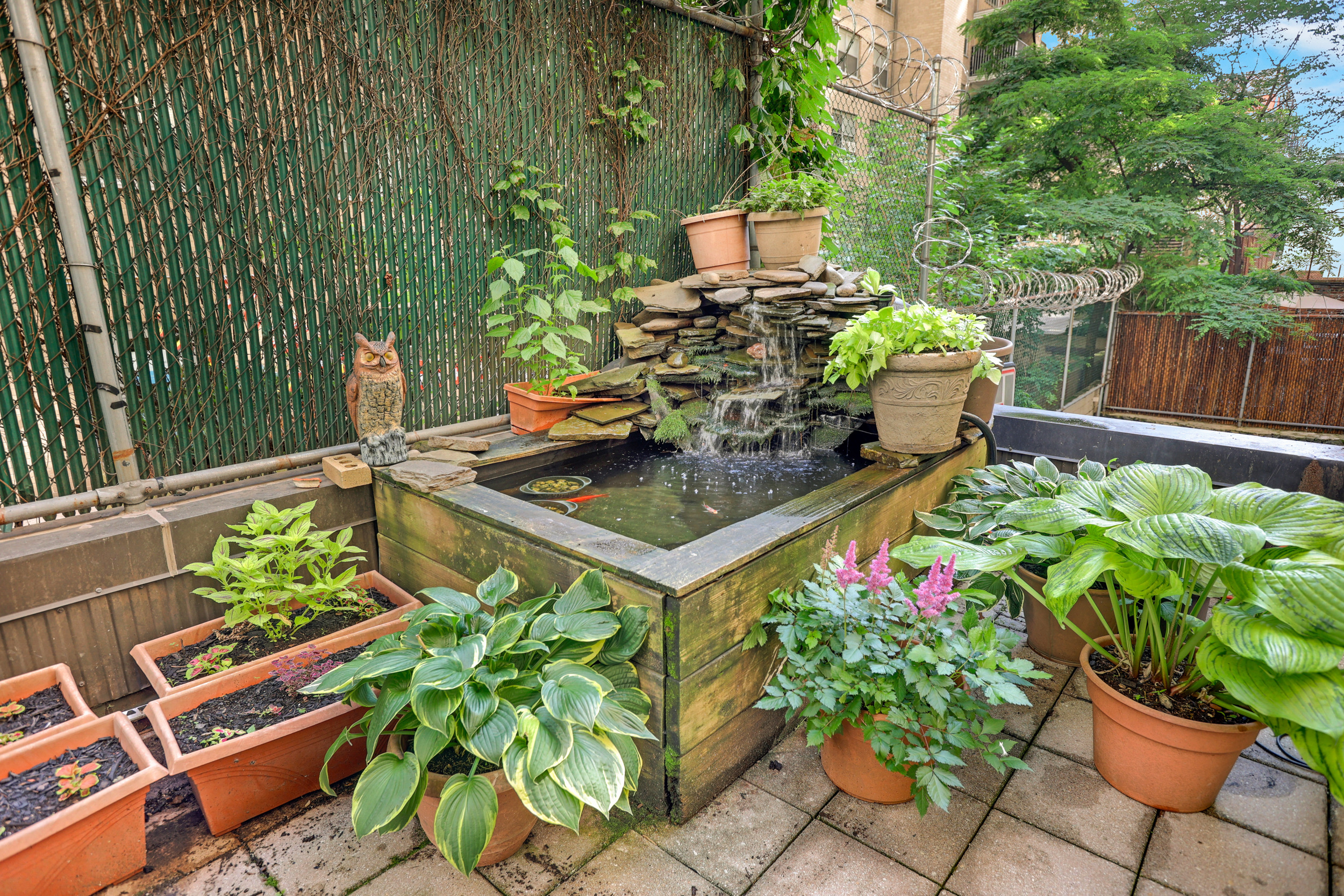 a potted plant sitting in front of a house