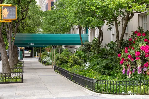 a view of a garden with pathway