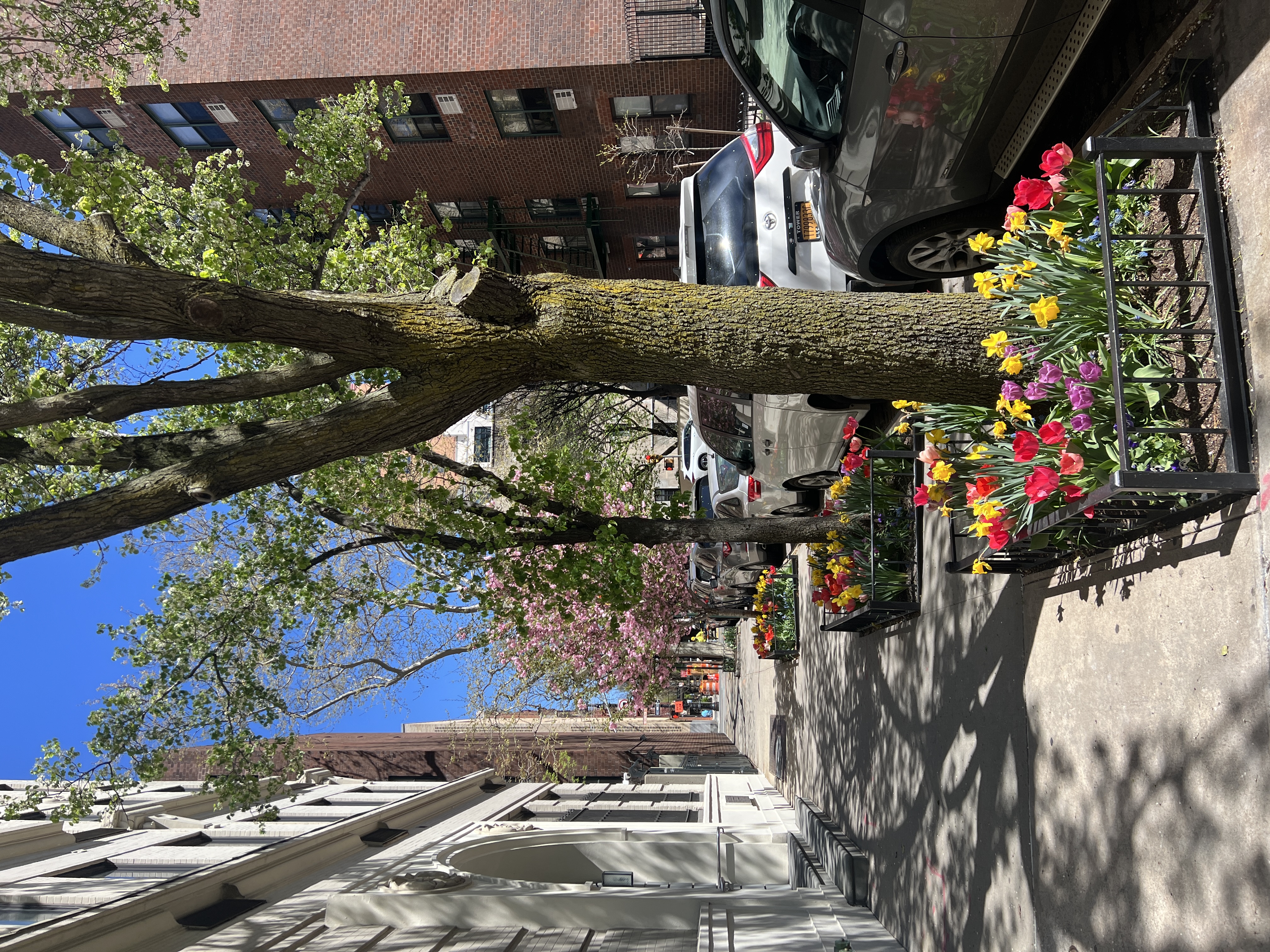 167 Perry Street, Unit 5D Manhattan, NY 10014 - Photo 10 of 18 a view of street with sitting area
