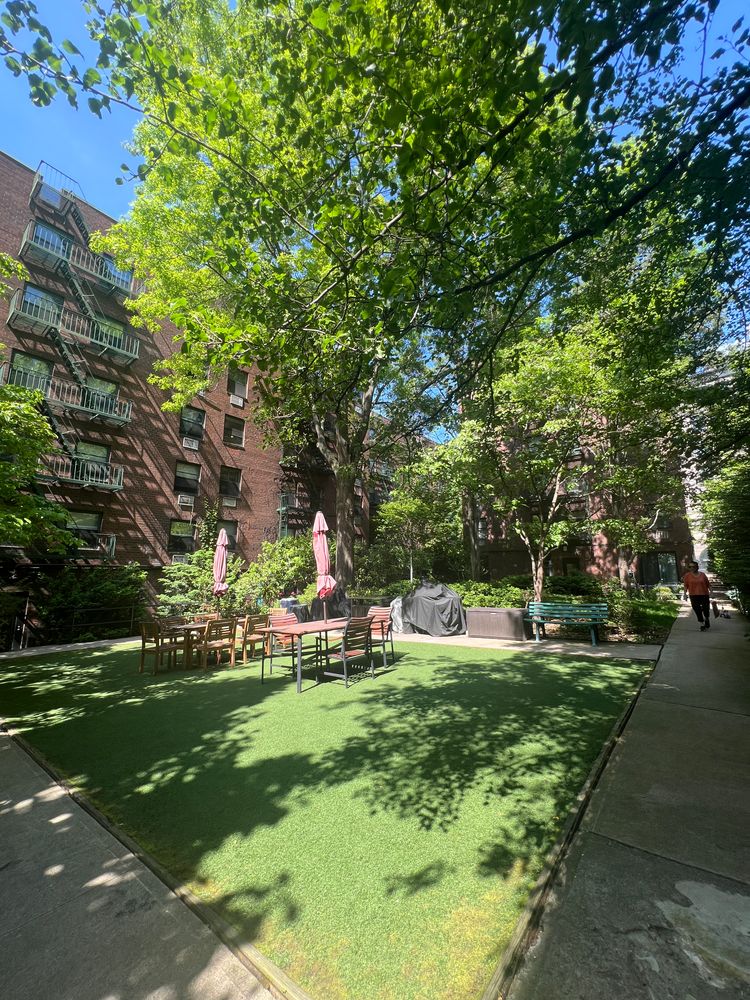 a view of a park with large trees