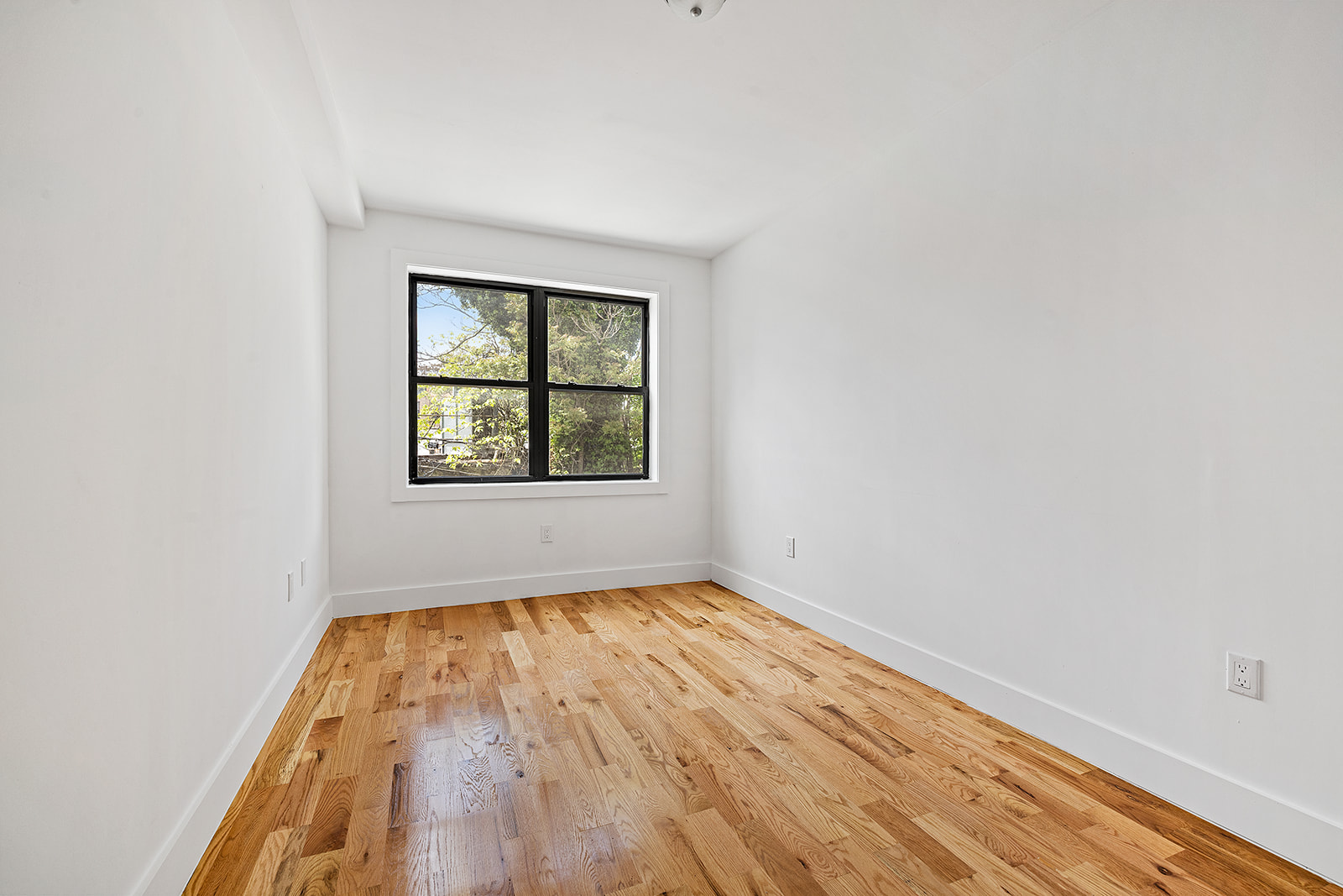 422 East 31st Street Brooklyn, NY 11226 - Photo 8 of 16 an empty room with wooden floor and windows