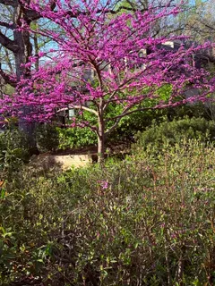 $2,795,000 | 5344 Falmouth Road, Bethesda, MD 20816