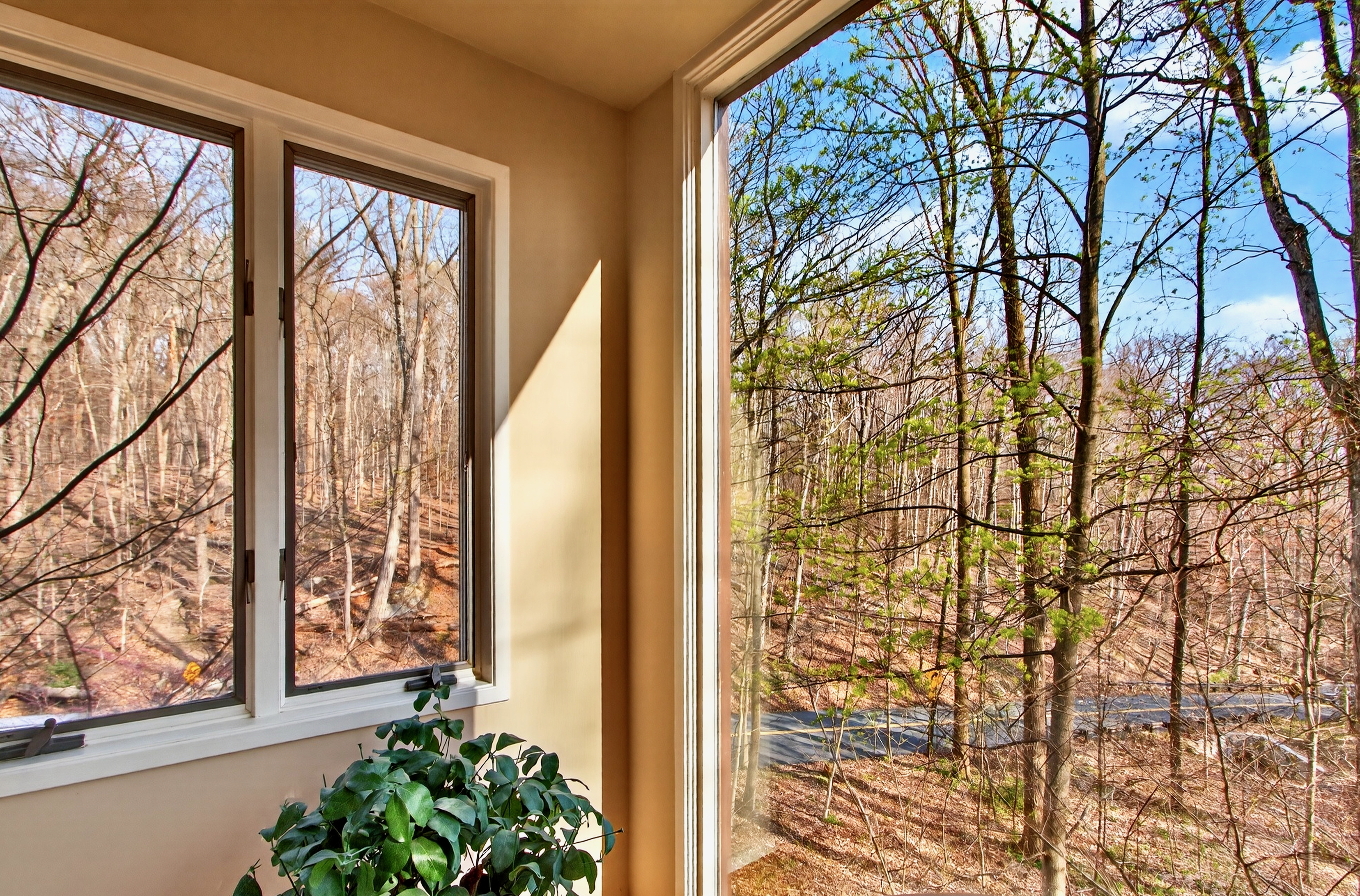 5196 27th Street Northwest Washington, DC 20008 - Photo 26 of 79