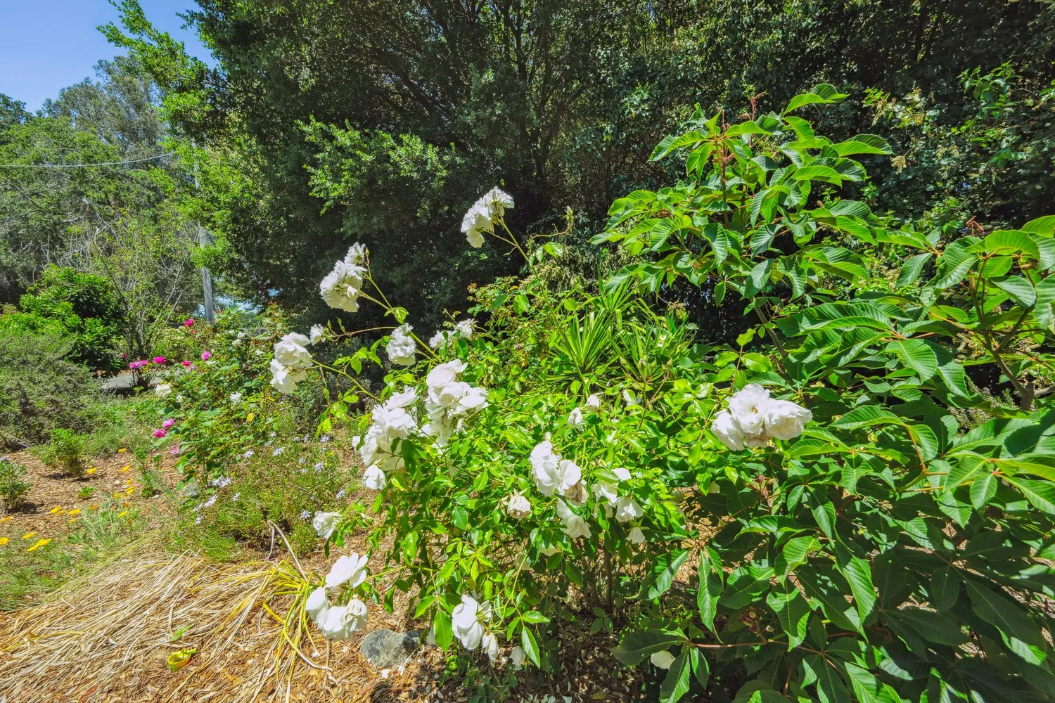 $1,400,000 | 498 Lohrman Lane, Petaluma, CA 94952