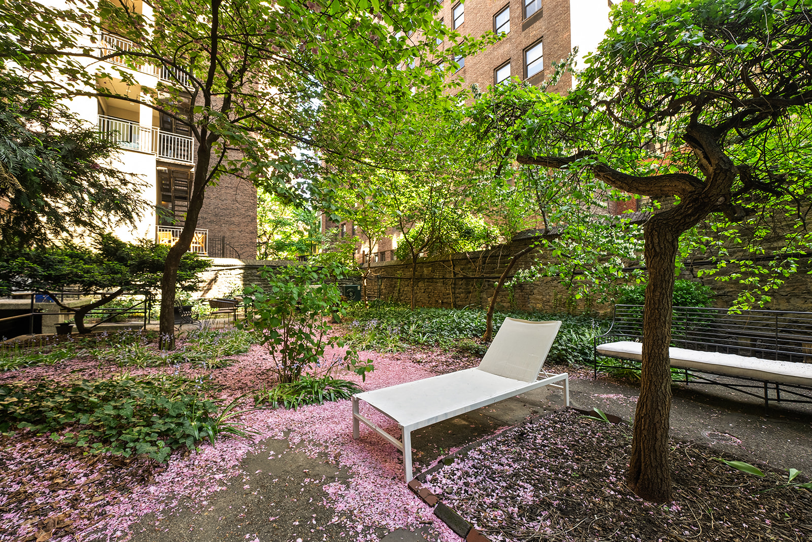 230 East 50th Street, Unit 3B Manhattan, NY 10022 - Photo 17 of 21 a view of a patio with table and chairs and a large tree