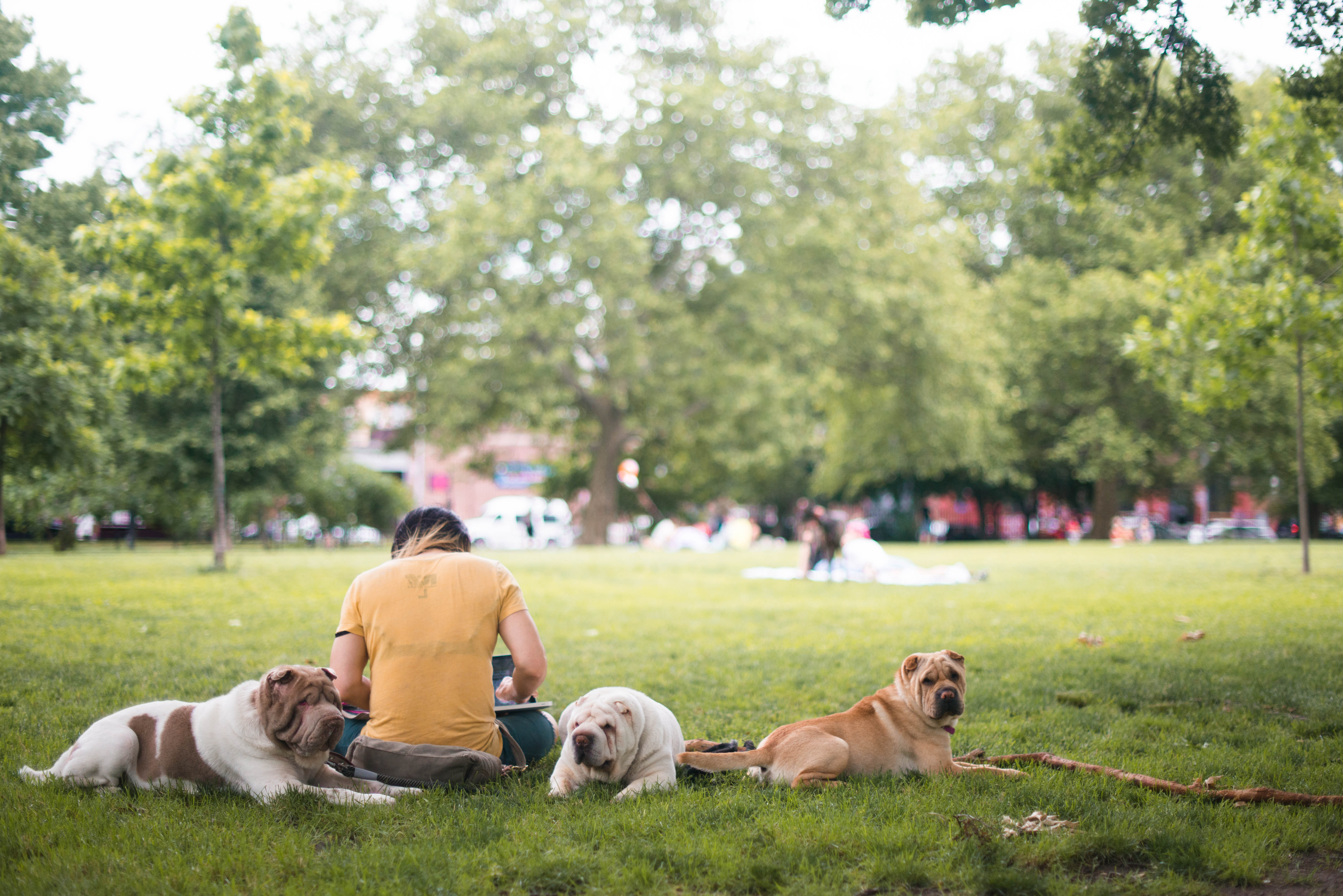 57 Engert Avenue, Unit 1 Brooklyn, NY 11222 - Photo 13 of 17