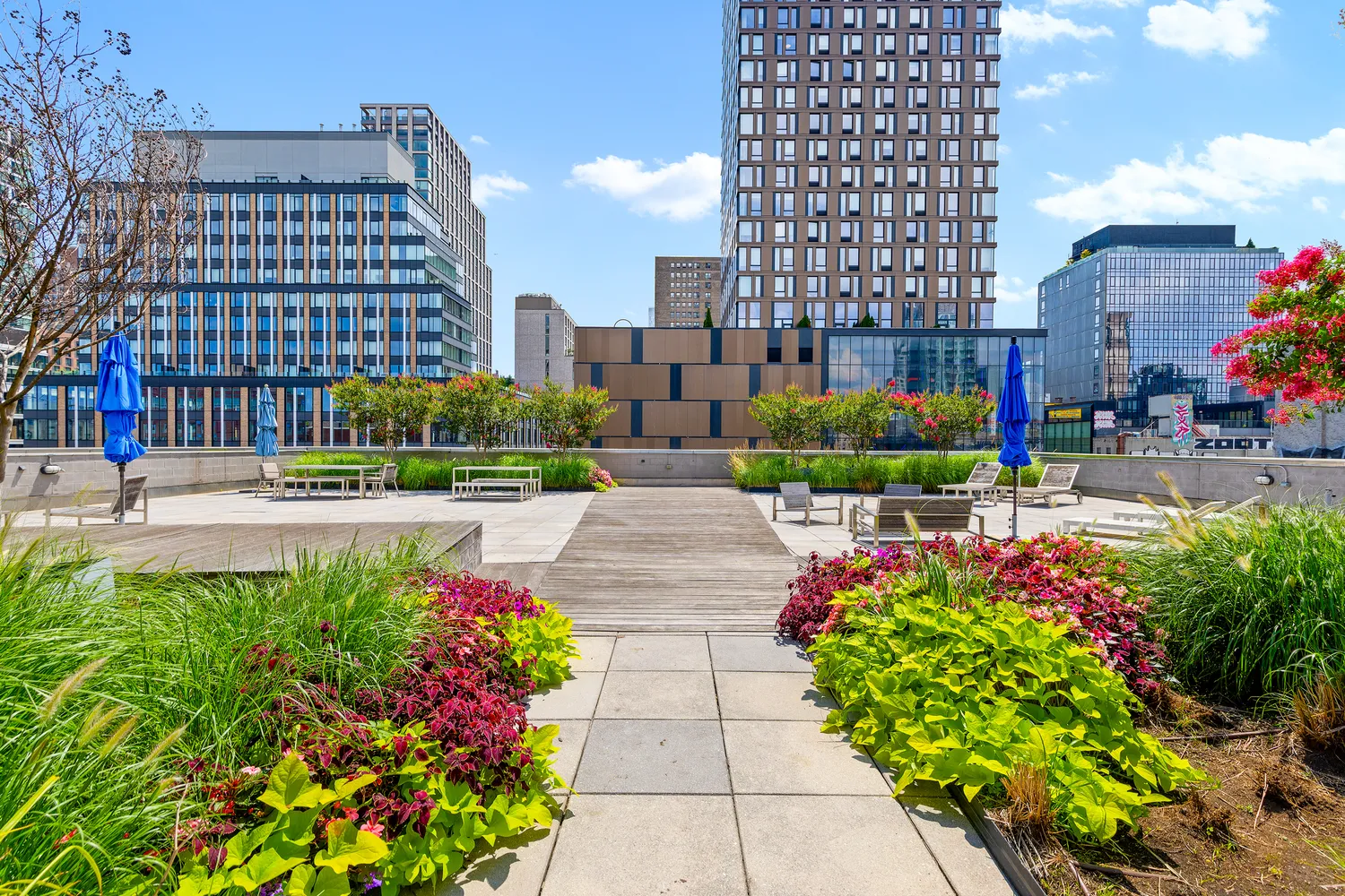 a view of building with garden