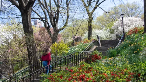 a view of road with trees