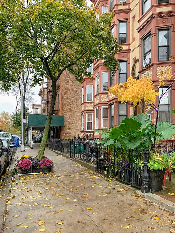 554 11th Street Brooklyn, NY 11215 - Photo 18 of 20