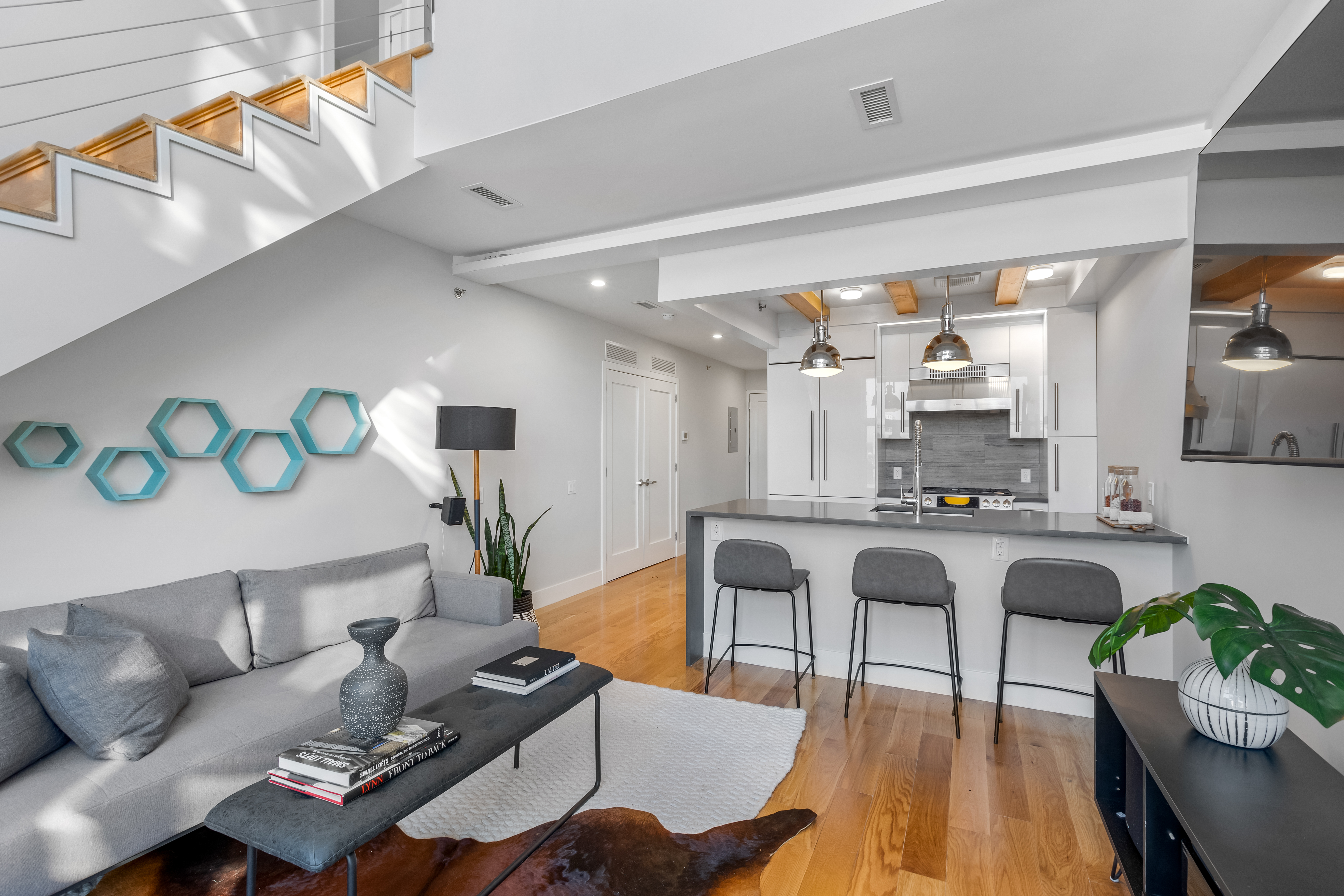 175 Jackson Street, Unit PH4D Brooklyn, NY 11211 - Photo 3 of 15