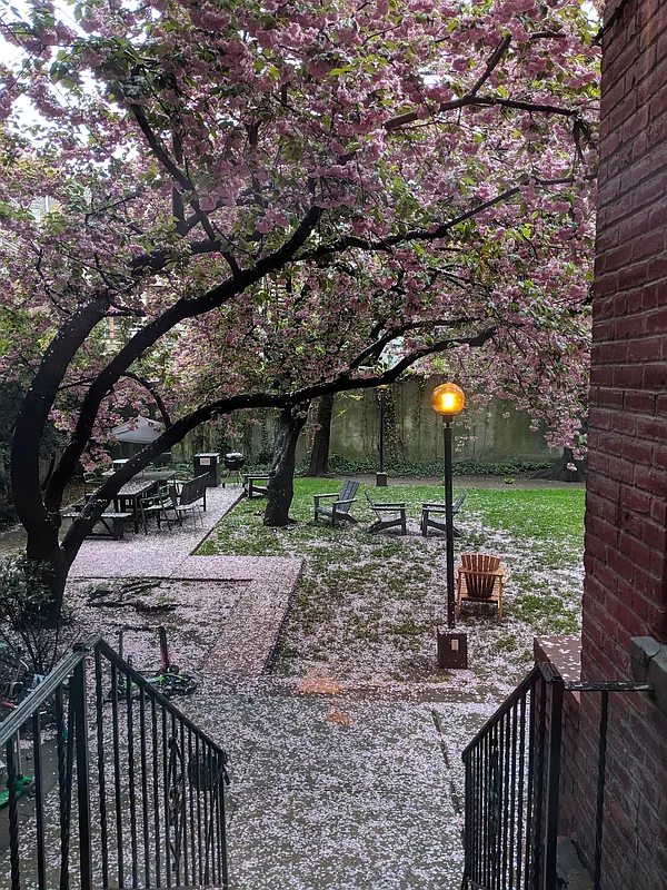 138 Baltic Street, Unit 3C Brooklyn, NY 11201 - Photo 9 of 10 a backyard of a house with lots of green space