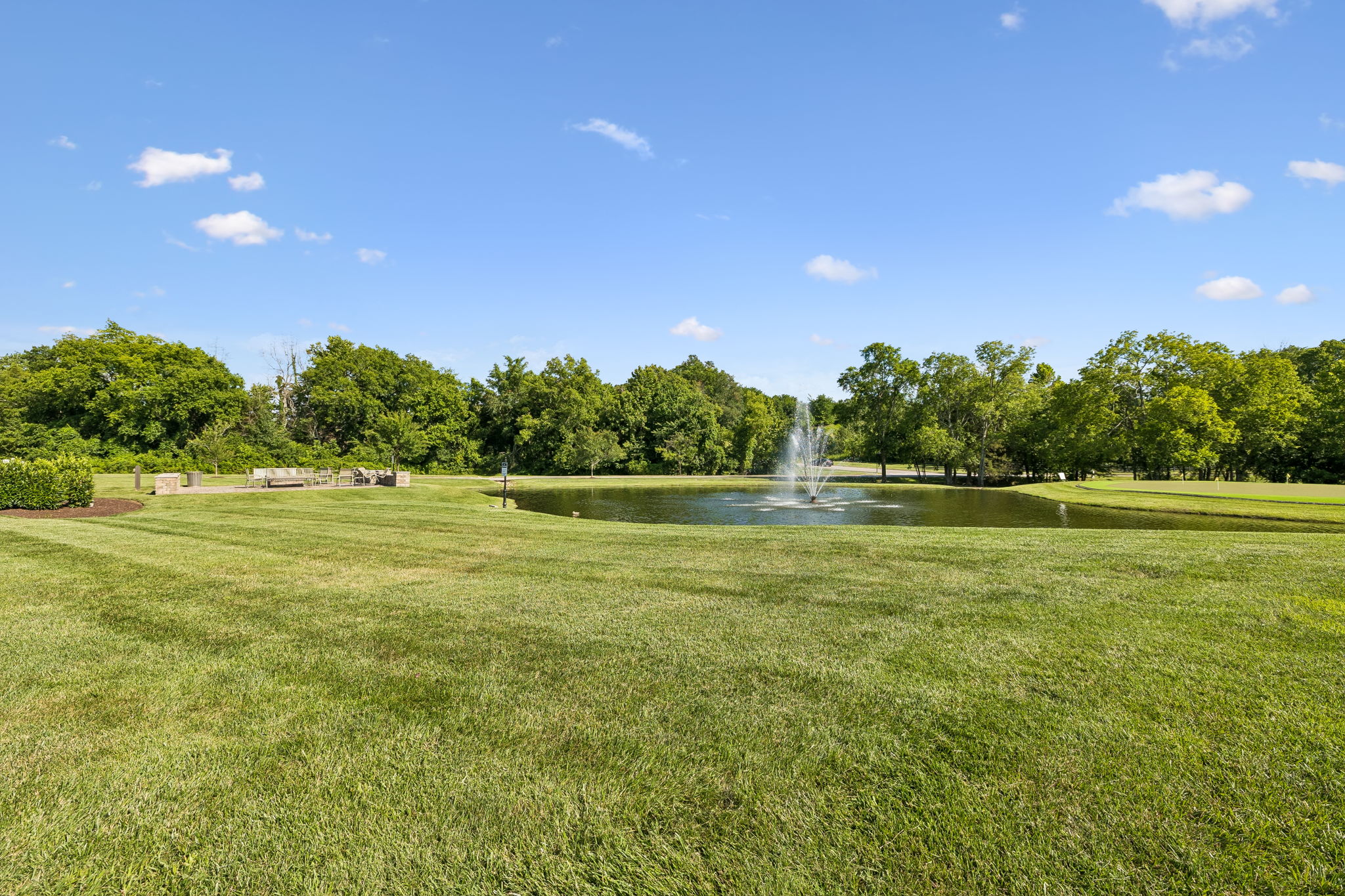 6732 Falls Ridge Lane College Grove, TN 37046 - Photo 60 of 87