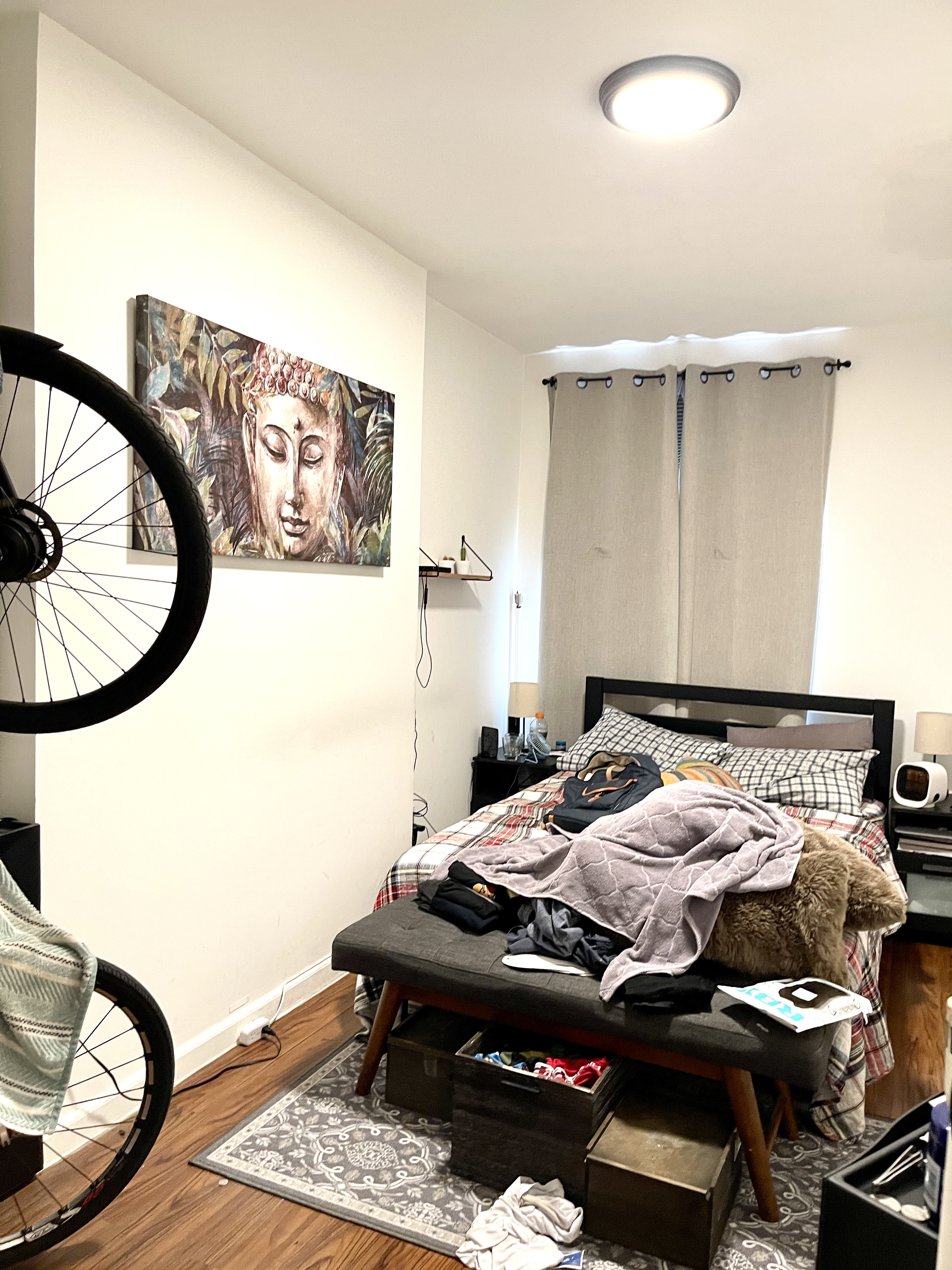Gallery Image 6