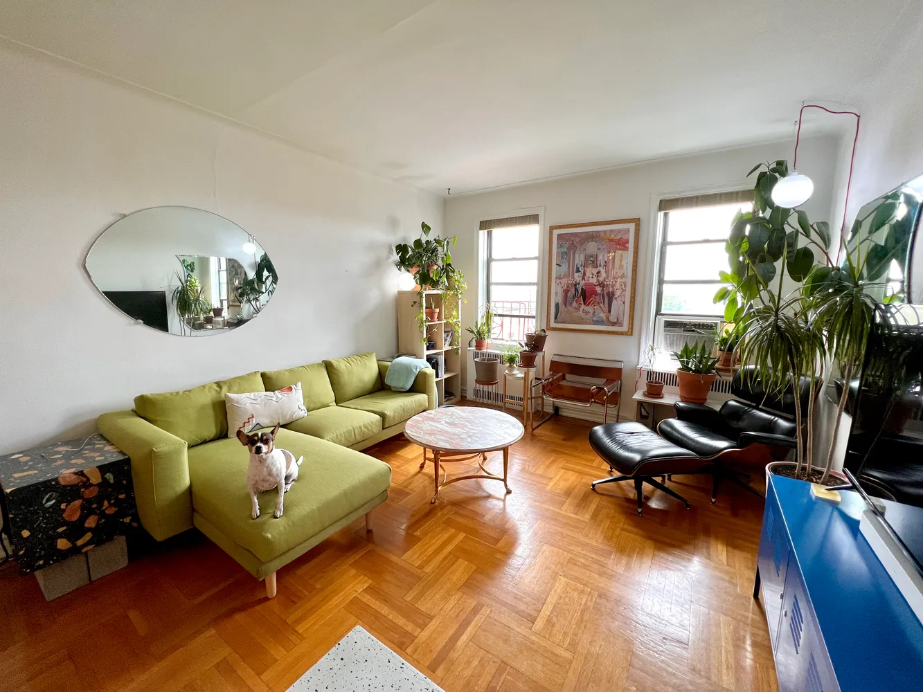 a living room with furniture fireplace and a potted plant