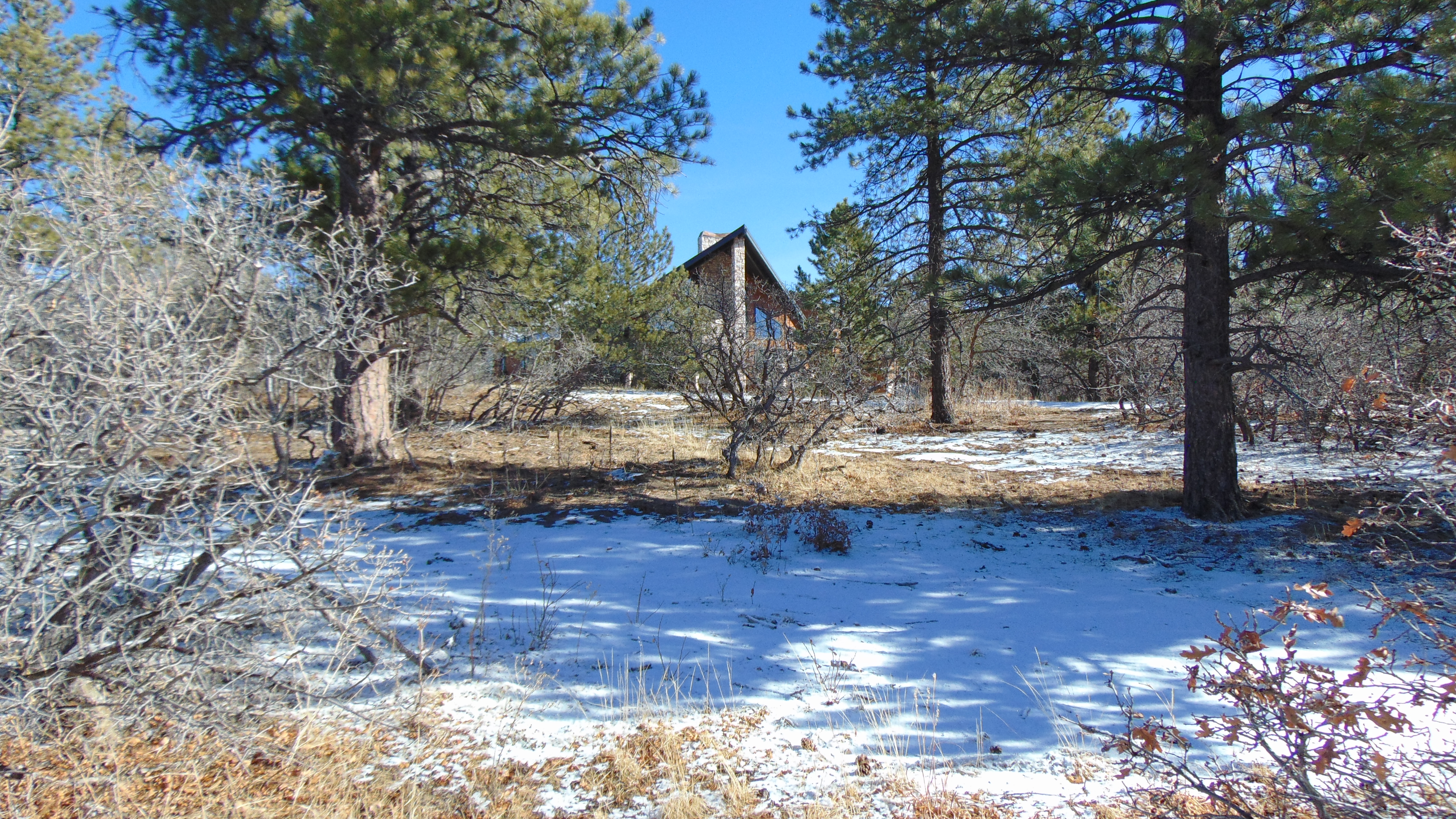 9676 South Perry Park Road Larkspur, CO 80118 - Photo 7 of 16
