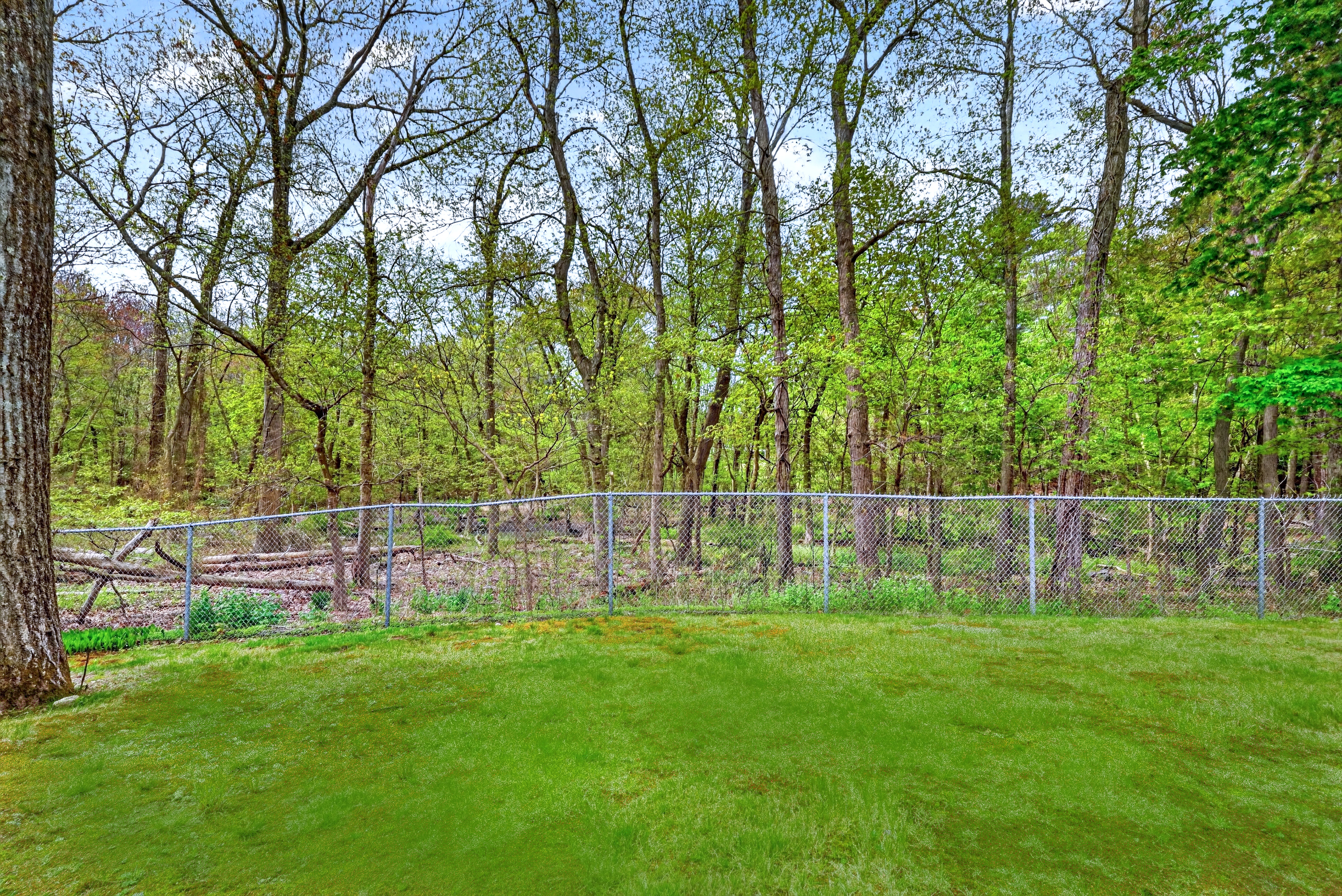 58 Tanglewood Road Newton Center, MA 02459 - Photo 32 of 33 a view of a park