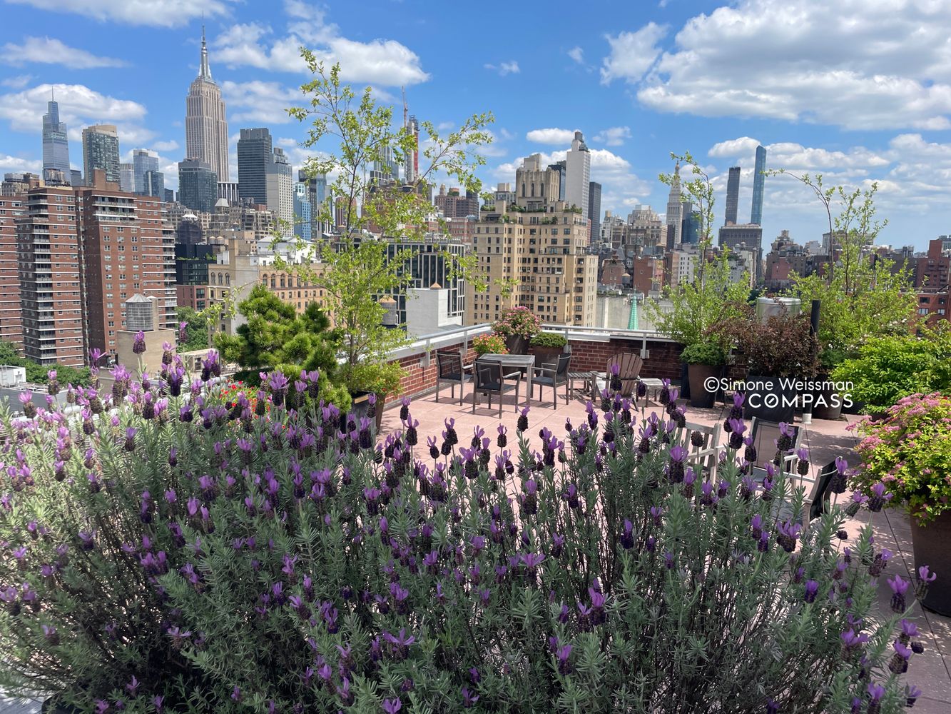 a view of a city with tall buildings