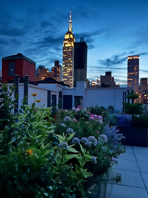 136 East 36th Street, Unit 5D Manhattan, NY 10016 - Photo 11 of 13 a front view of a building with a garden