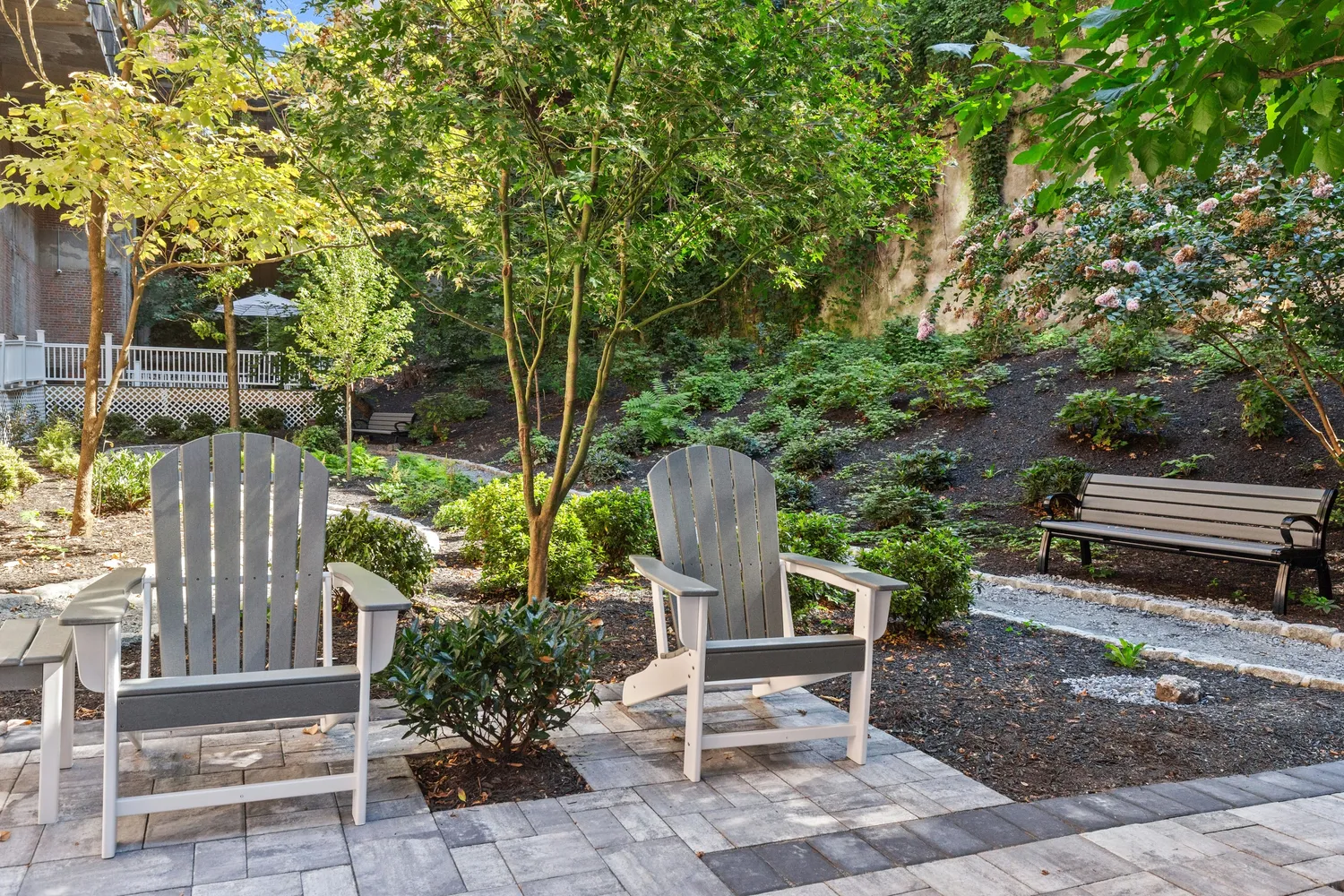 a view of a chair and table in the backyard
