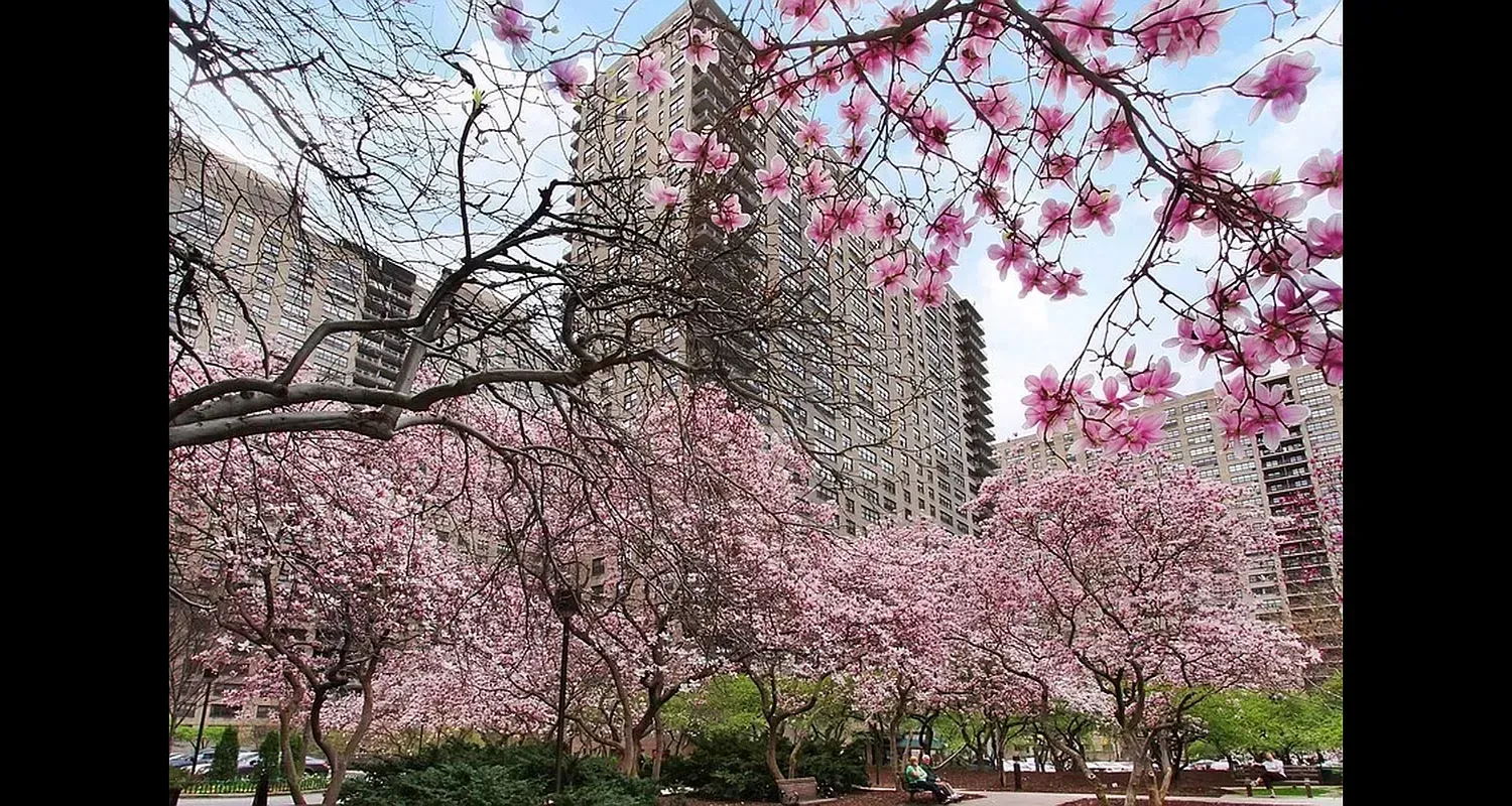 a backyard of a building