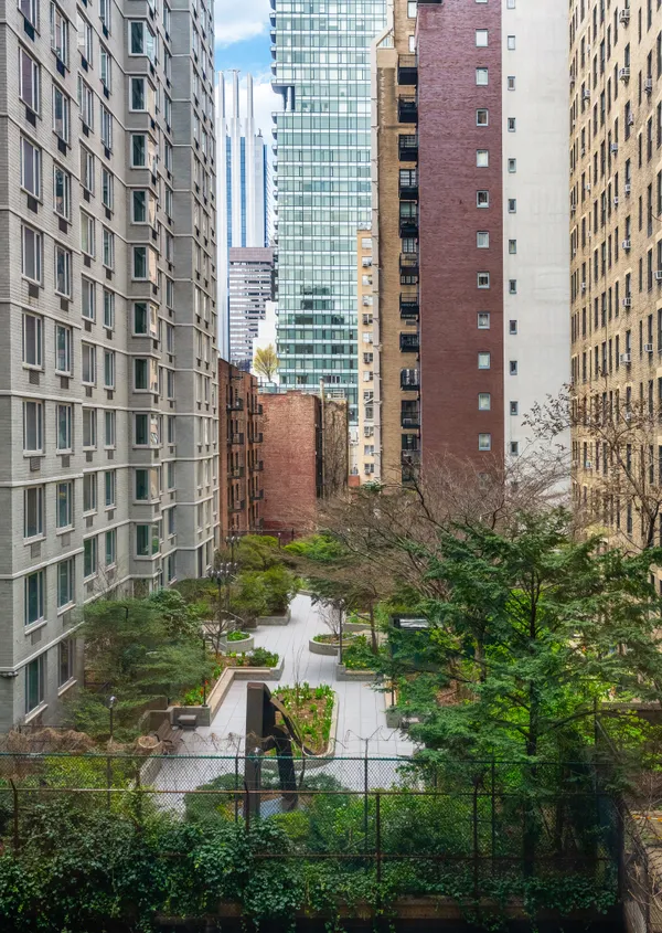 a view of a backyard with plants