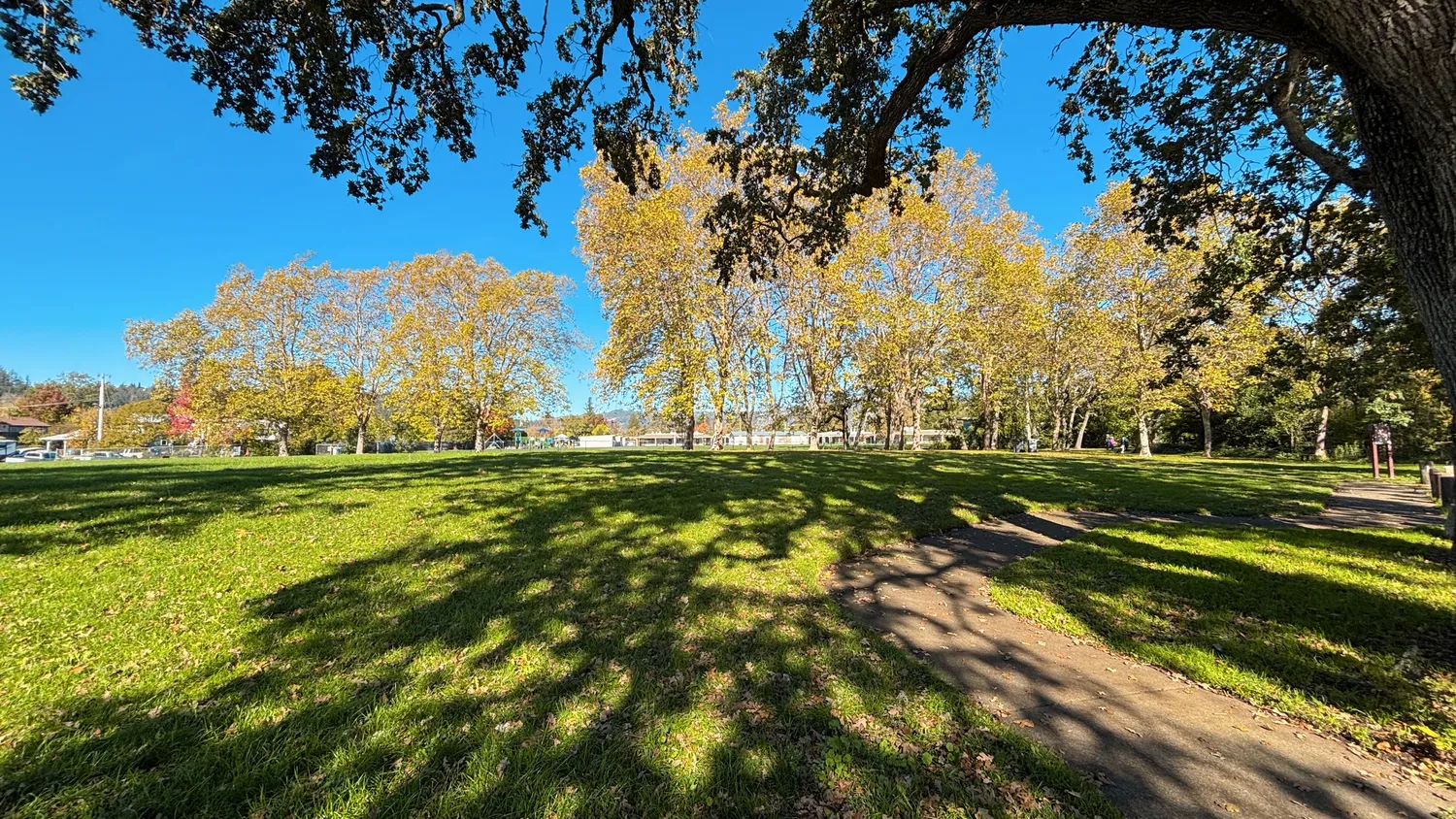 a view of a golf course with a lake