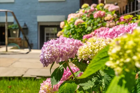 $450,000 | 28 Bryant Street Northwest, Unit 1, Washington, DC 20001