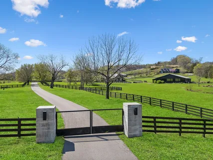 a view of a park with large trees