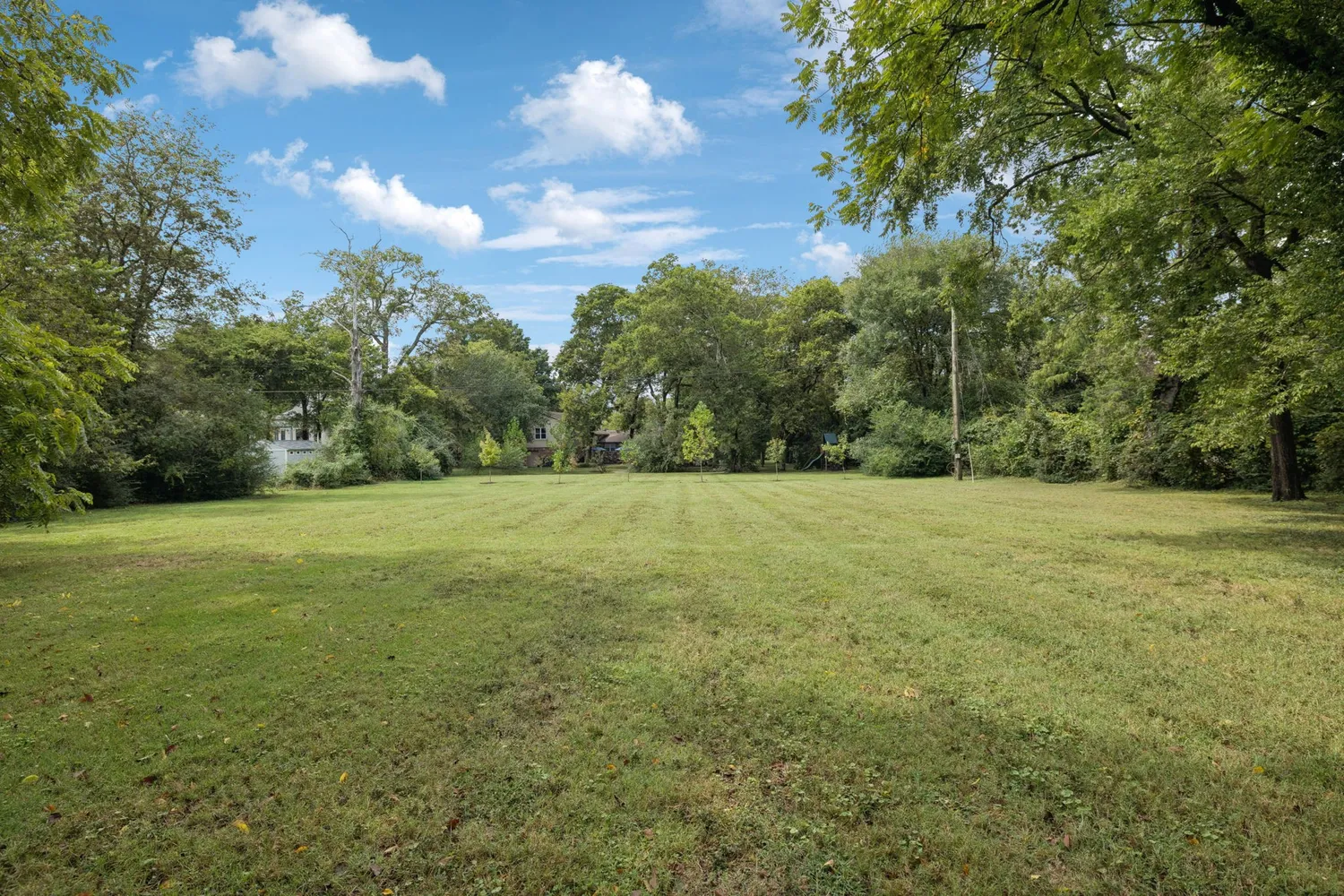 a backyard of a house with lots of green space
