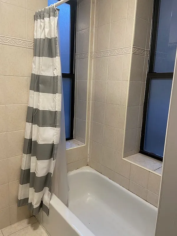 178 Ludlow Street, Unit 3A Manhattan, NY 10002 - Photo 6 of 7 a bathroom with a bathtub and a shower
