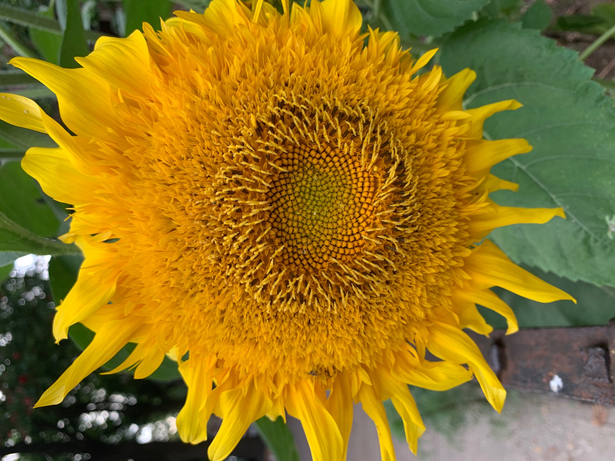 471 9th Street, Unit 1 Brooklyn, NY 11215 - Photo 27 of 27