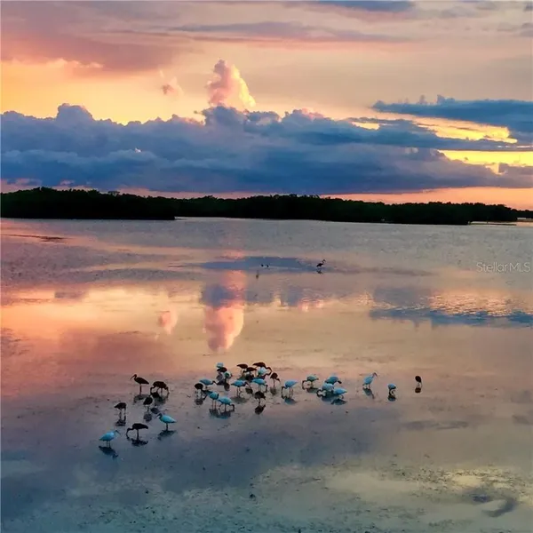 $1,799,990 | 3 Michiana Place, Terra Ceia, FL 34250