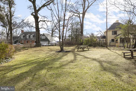 a view of a yard with trees