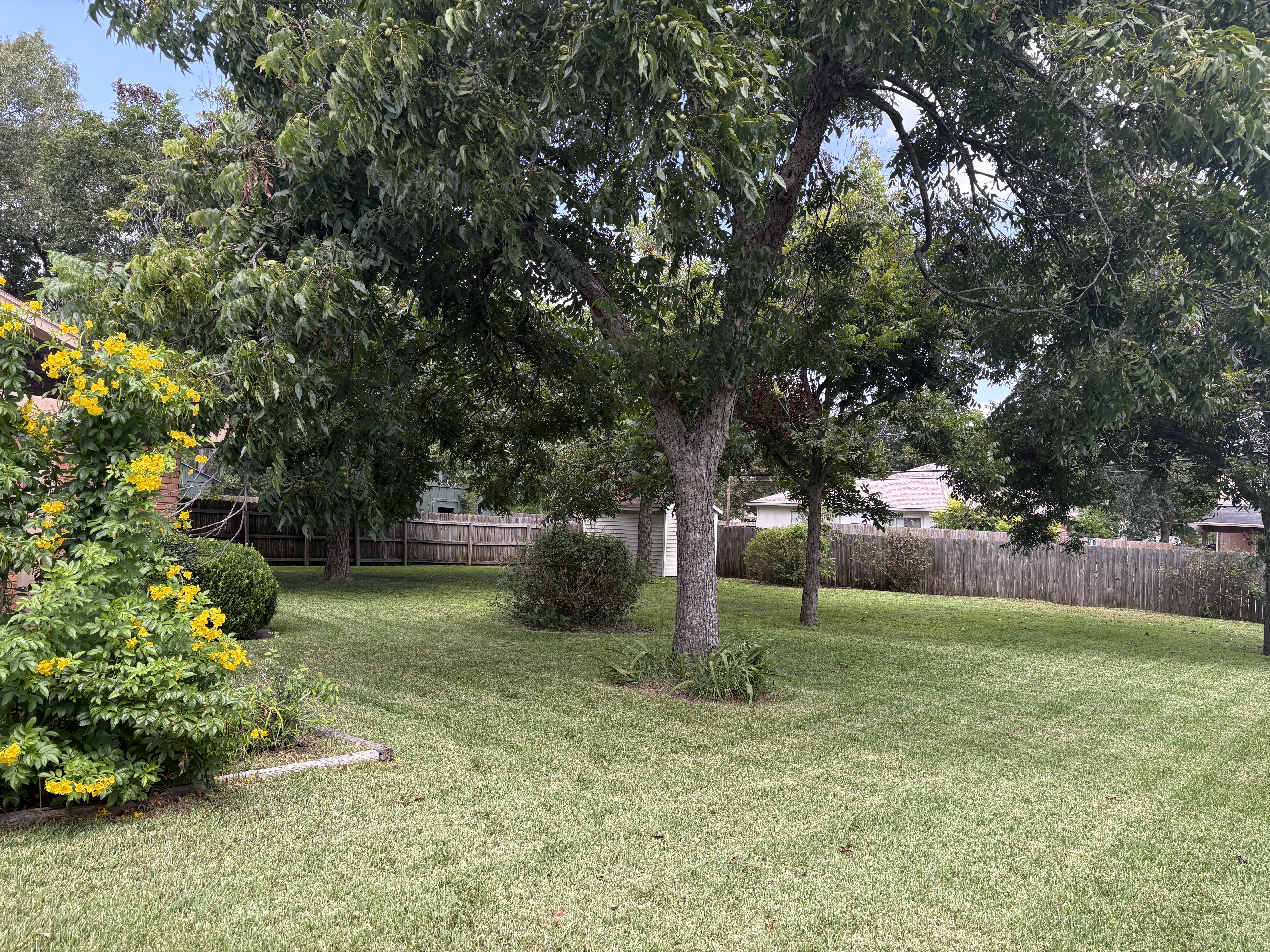 1115 Timber Lane Rosenberg, TX 77471 - Photo 8 of 11 Gallery Image 8
