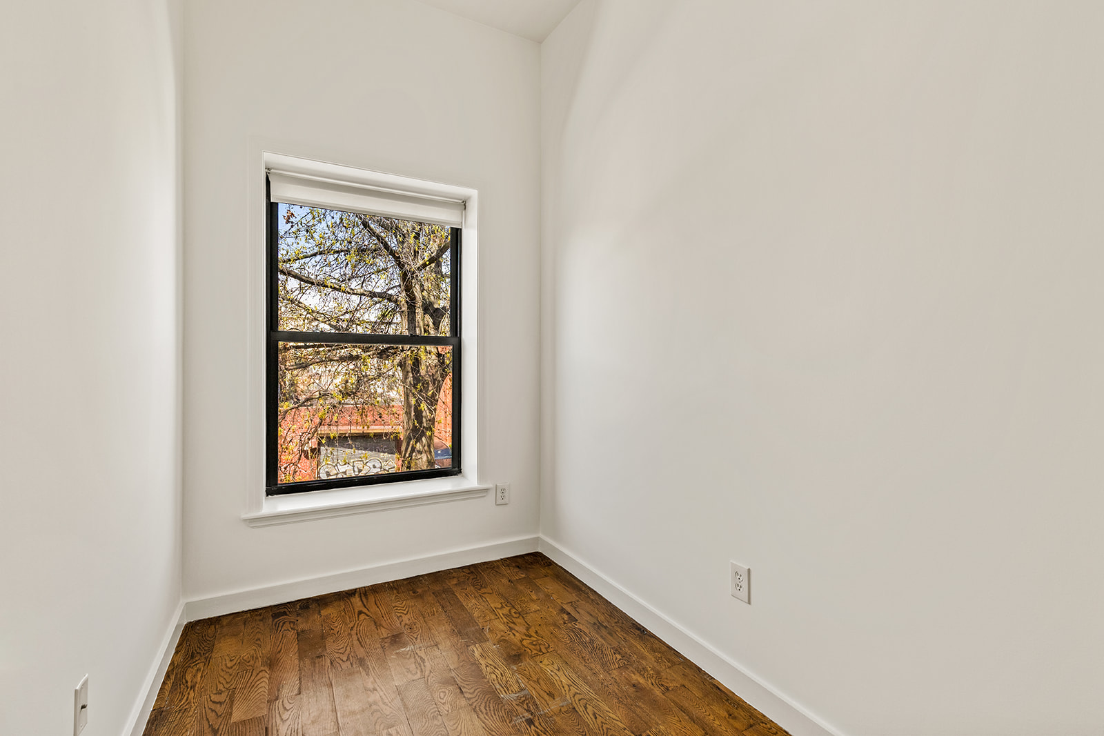 418 Halsey Street Brooklyn, NY 11233 - Photo 12 of 17
