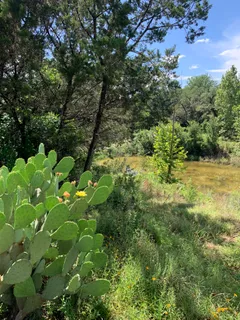 $990,000 | 14156 State Highway 16 South, Pipe Creek, TX 78063