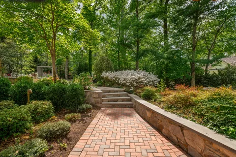 a view of a yard with large trees