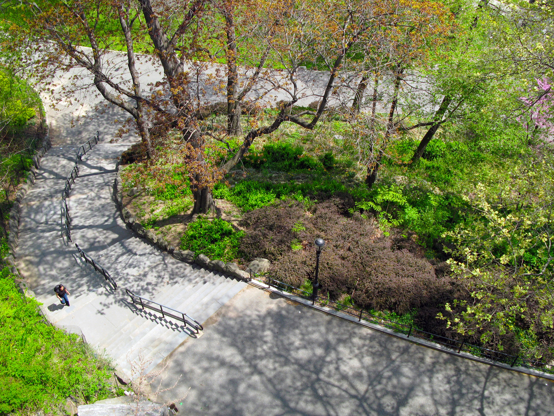 1264 Amsterdam Avenue, Unit 3D Manhattan, NY 10027 - Photo 9 of 16 a view of a garden with large trees