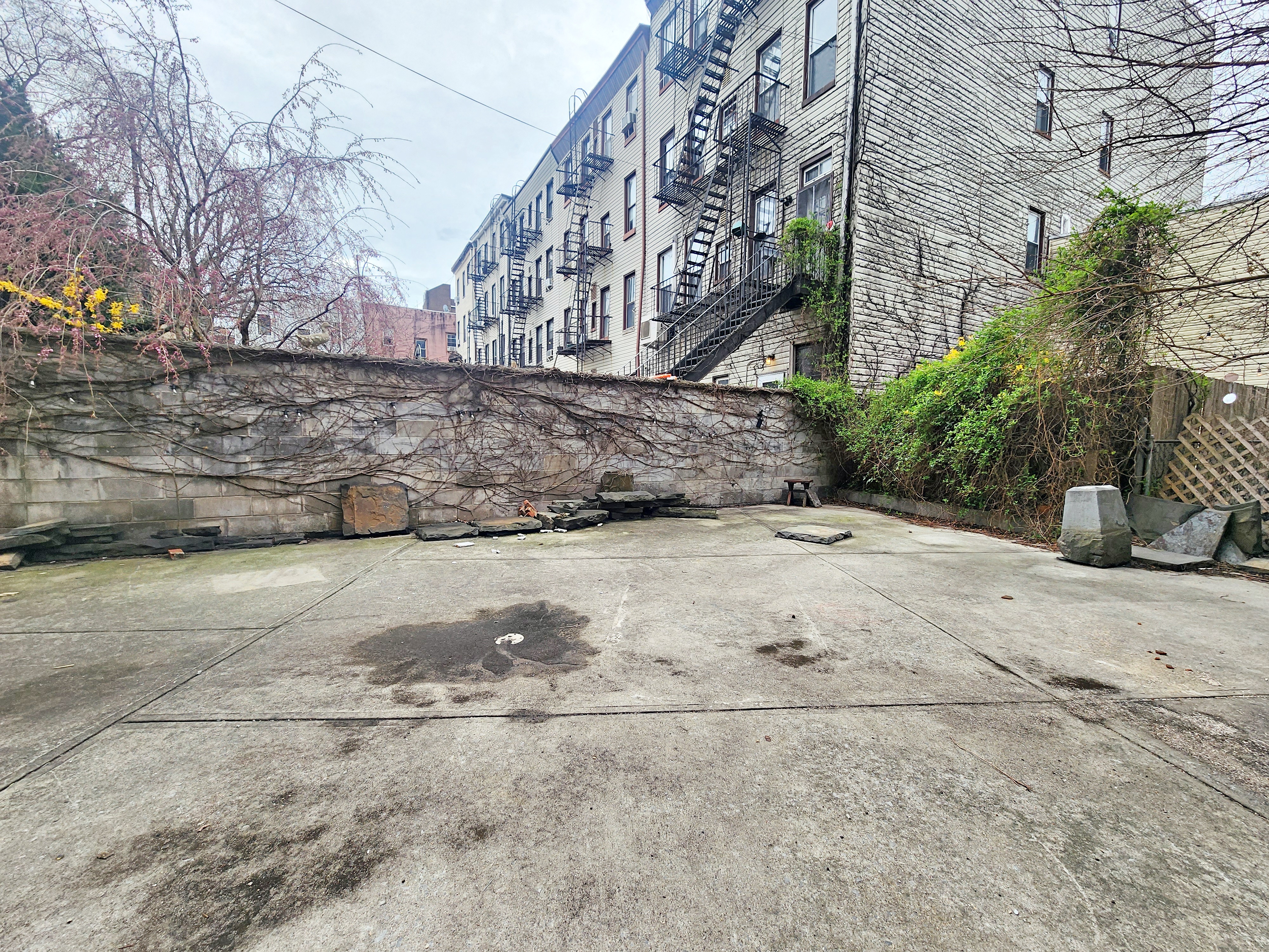 258 Devoe Street, Unit 1 Brooklyn, NY 11211 - Photo 3 of 12 a view of a yard with a tree