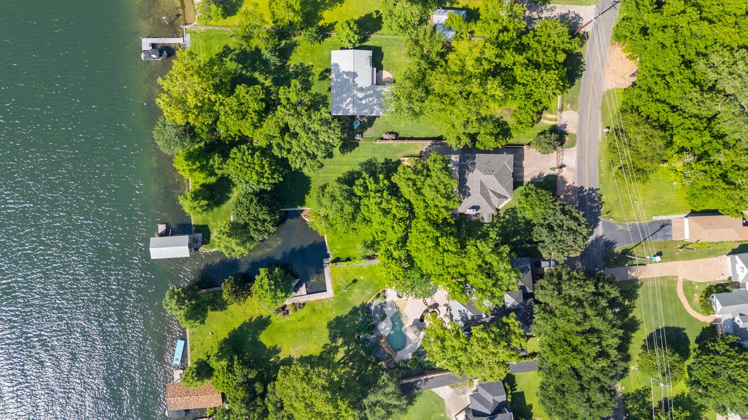 a plant that is in a garden