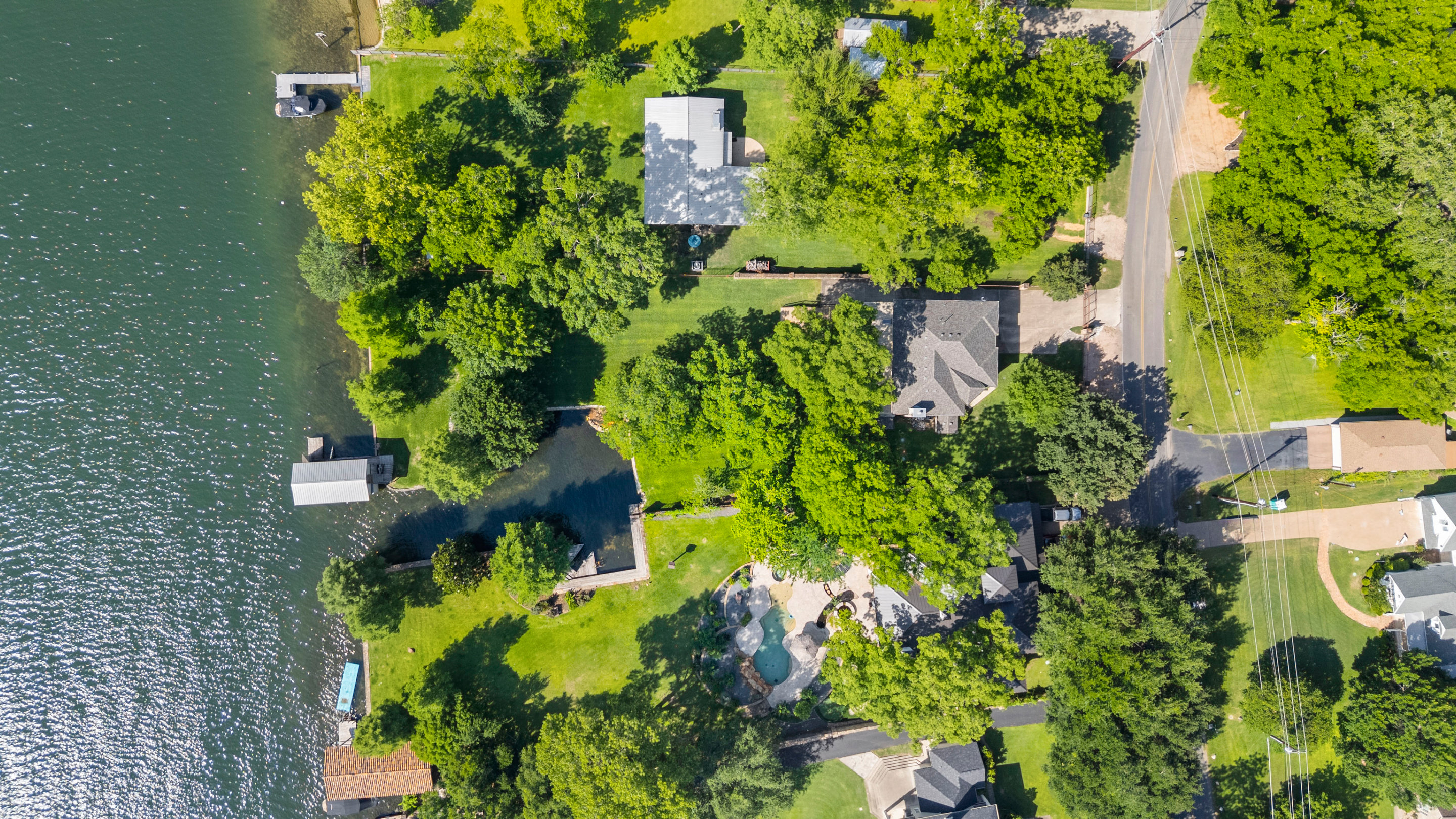 2603 Pearce Road Austin, TX 78730 - Photo 18 of 41 a plant that is in a garden