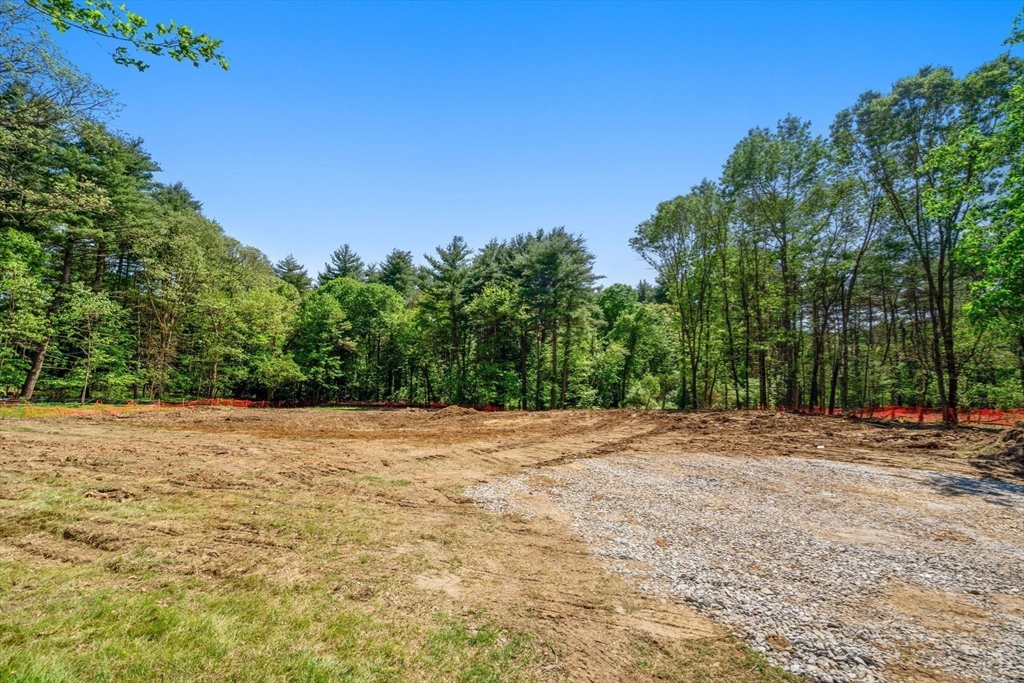 185 Dedham Street Dover, MA 02030 - Photo 15 of 32 a backyard of a house with large trees