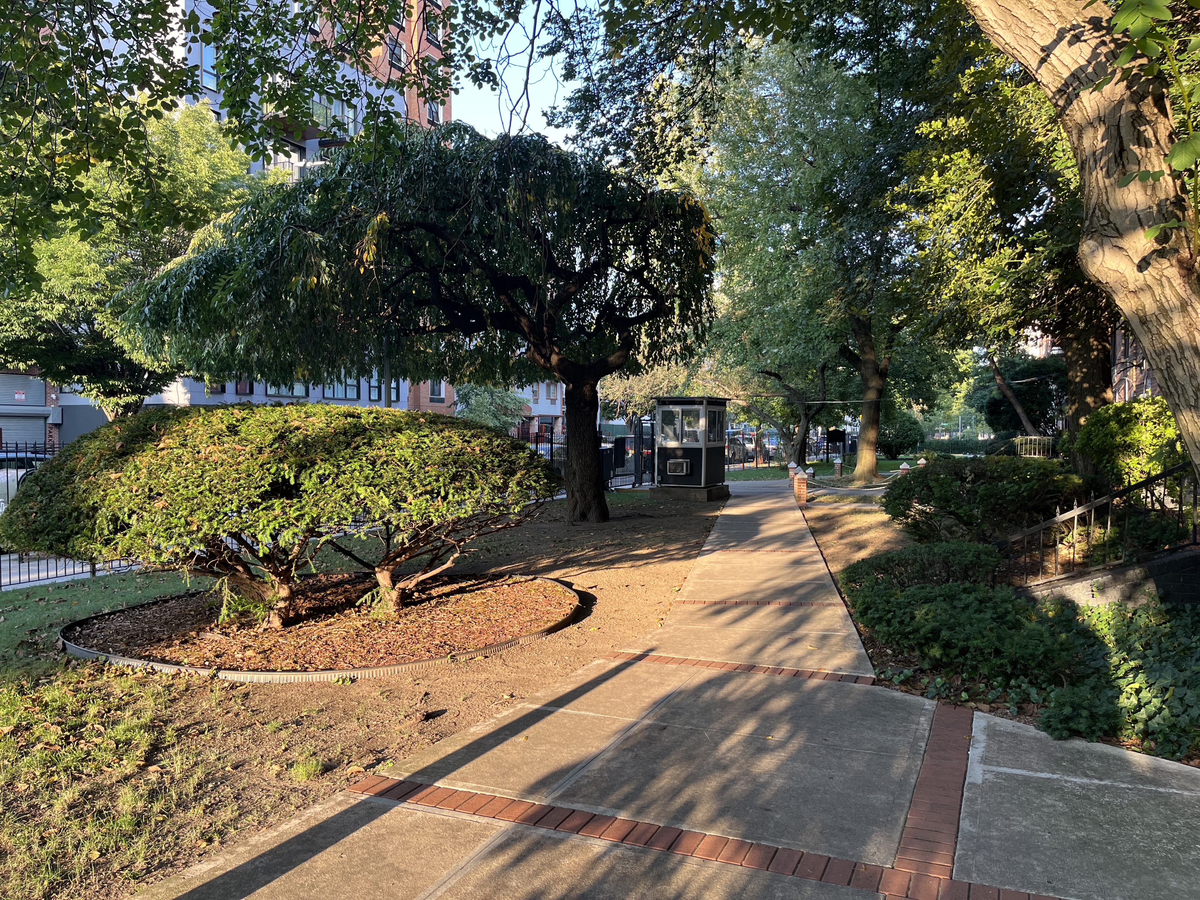 310 Lenox Road, Unit 4D Brooklyn, NY 11226 - Photo 14 of 14 a tree in the garden with wooden fence