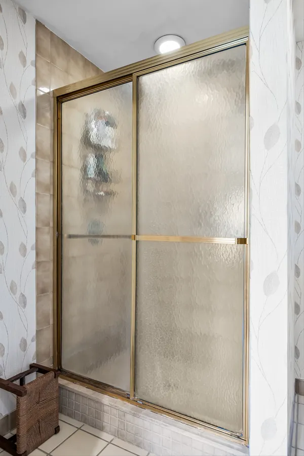 a view of a backyard with plants and large trees