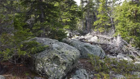 $65,000 | 0 Brook Drive, Idaho Springs, CO 80452