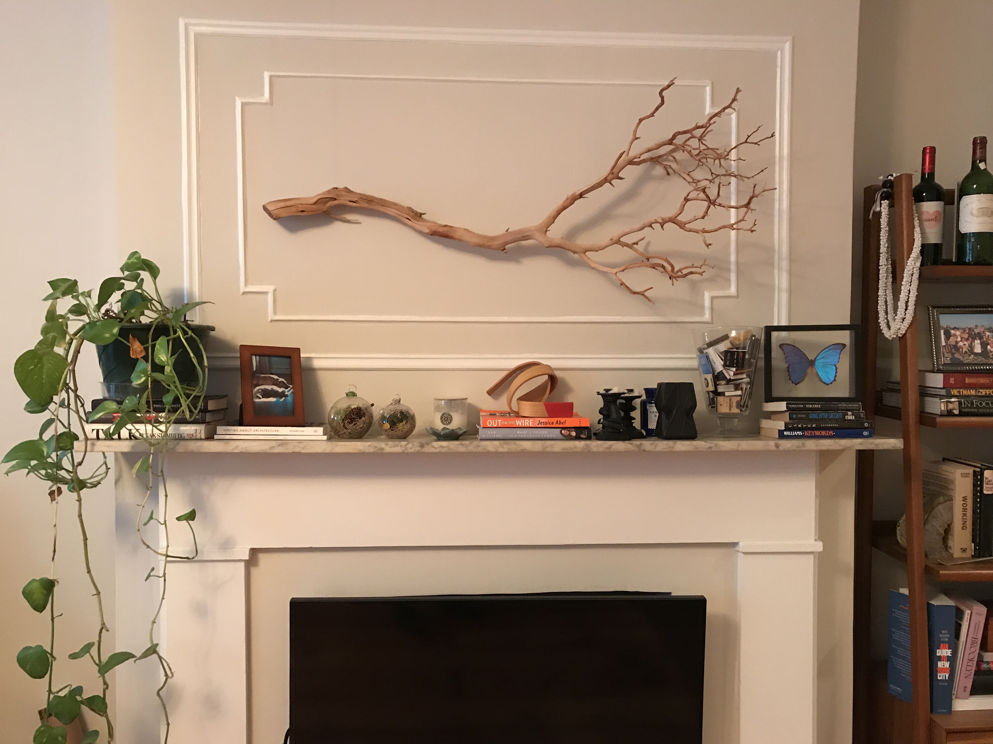 237 Union Street, Unit GARDEN Brooklyn, NY 11231 - Photo 5 of 11