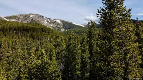 $65,000 | 0 Brook Drive, Idaho Springs, CO 80452