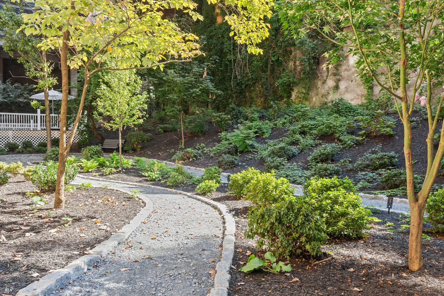 a view of a garden with plants