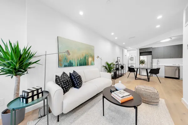 a living room with furniture and a potted plant
